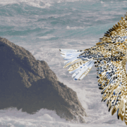 Fels in der Brandung und Zugvogel